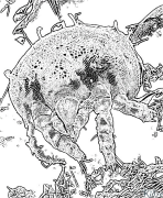 mite Masamba Osindikiza Osindikiza